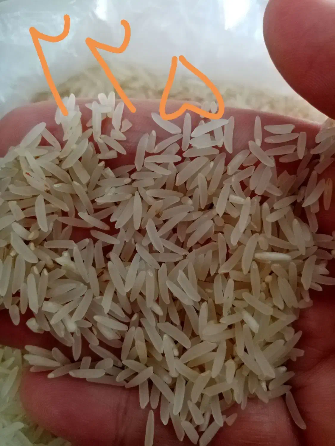 برنج فجرخوش پخت خوش طعم|عمده‌فروشی|گنبد کاووس, |دیوار