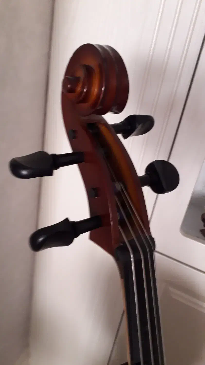 ویلون سل ۳/۴ TF 142|ویولن|مشهد, اقبال|دیوار