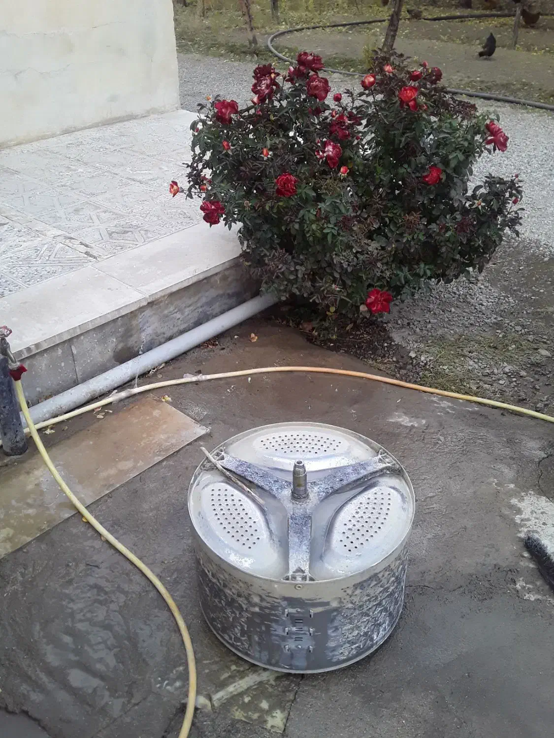 سرویس،نصب و تعمیرلباسشویی در منزل با ضمانت|خدمات پیشه و مهارت|بروجرد, |دیوار