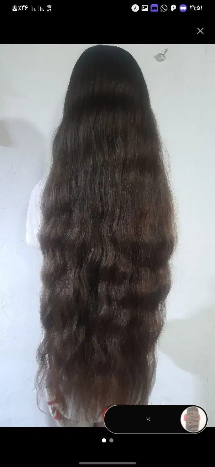 کت مو|موکت|شوشتر, |دیوار