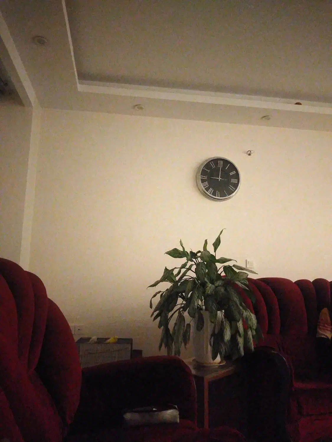 لطفا راهنمایی درباره آموزش و پرورش کنید .|فعالیت داوطلبانه|پردیس, فاز ۸|دیوار