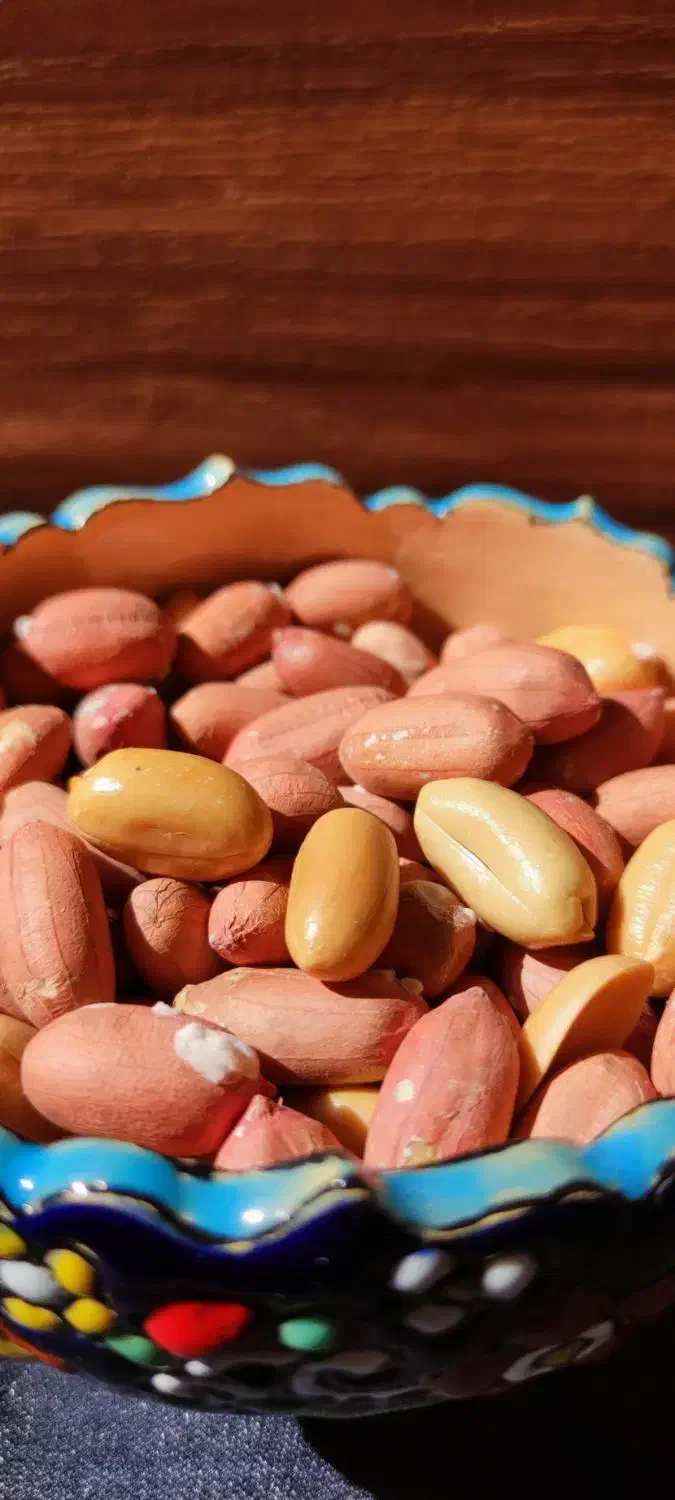 فروش بادام زمینی (و سایر خشکبار) باکیفیت بی‌نظیر|خوردنی و آشامیدنی|شیراز, میرزاکوچک خان|دیوار