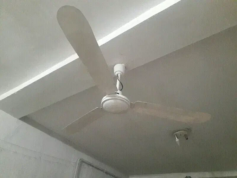 پنکه سقفی در فومن|پنکه و تصفیه‌کنندهٔ هوا|تولم شهر, |دیوار