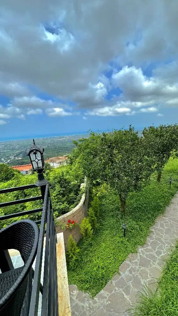 یک قطعه زمین ۱۳۲۵ متری|فروش زمین و ملک کلنگی|نشتارود, |دیوار