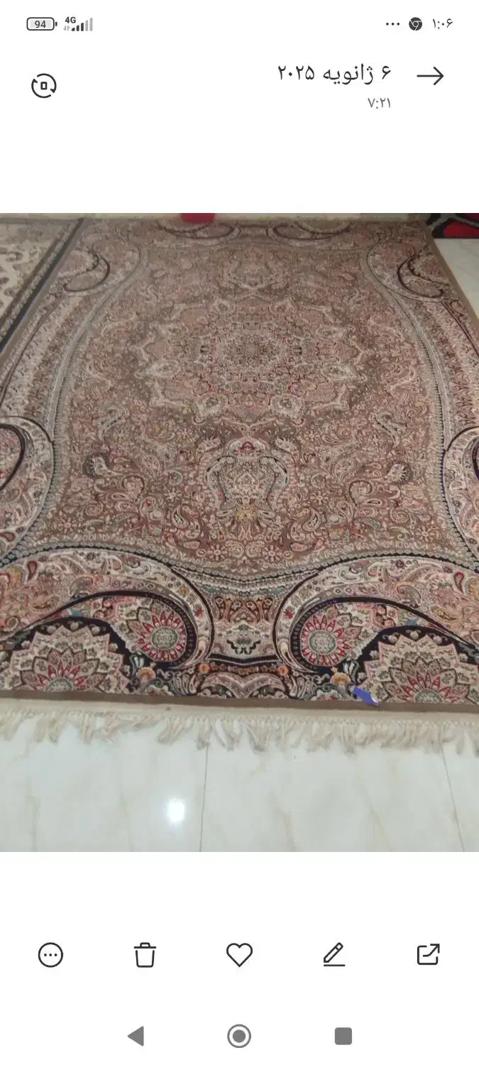 ب عنوان فورش|فرش|بندرعباس, |دیوار