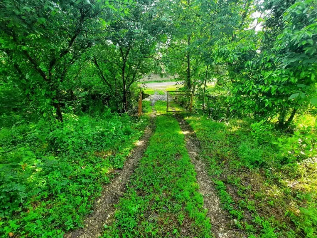 زمین سندار تفکیک شده در ماکلوان|فروش زمین و ملک کلنگی|ماکلوان, |دیوار