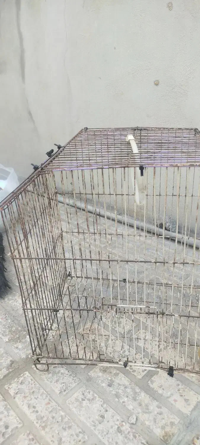 قفس|لوازم جانبی حیوانات|بندرعباس, |دیوار