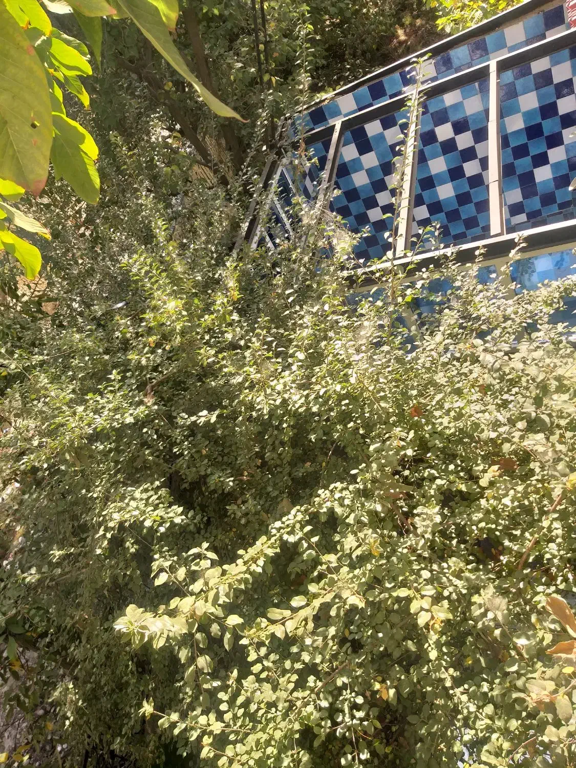 ویلا سولقان دوبلکس استخر دار رهن واجاره