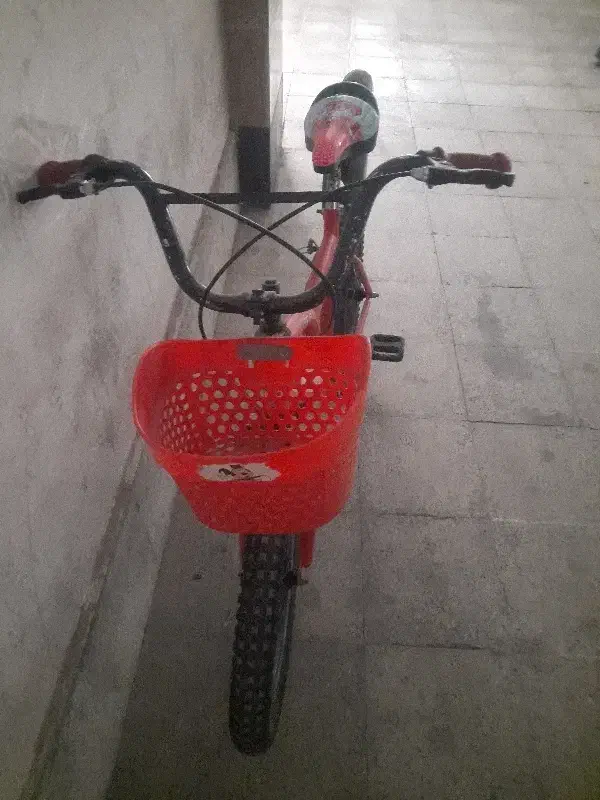 دوچرخه دخترانه|دوچرخه، اسکیت، اسکوتر|ارومیه, |دیوار