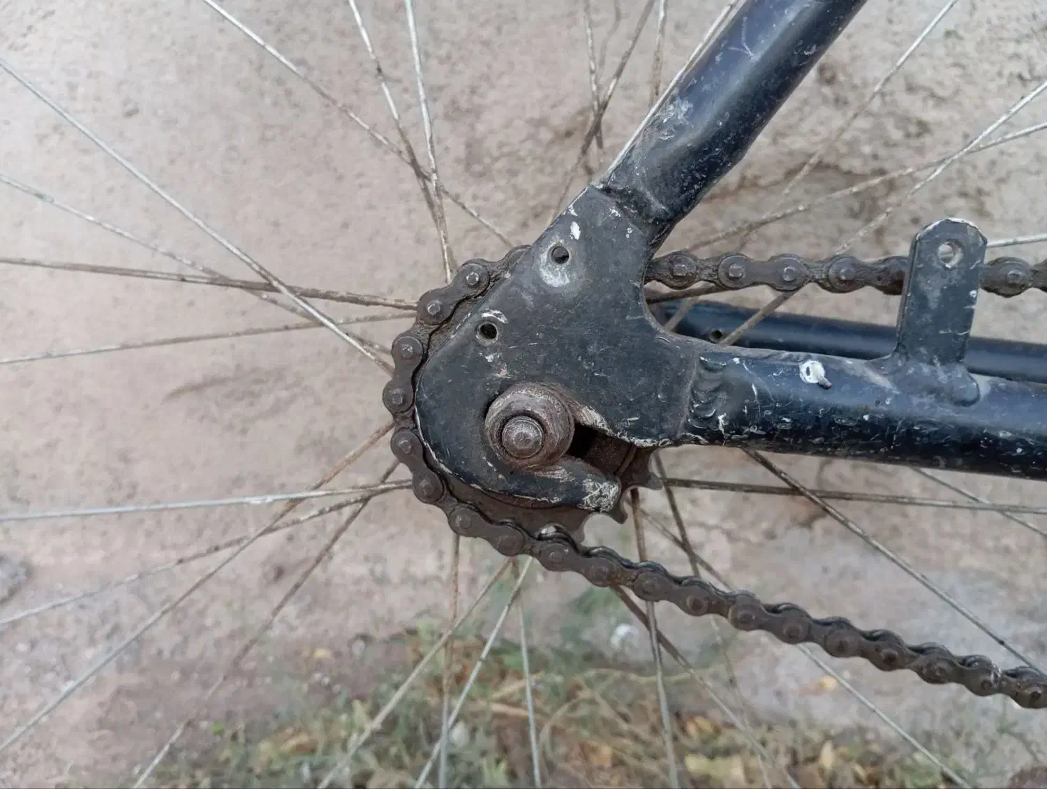 دوچرخه تنه آلمینیوم ۲۶|دوچرخه، اسکیت، اسکوتر|تربت جام, میان جام|دیوار