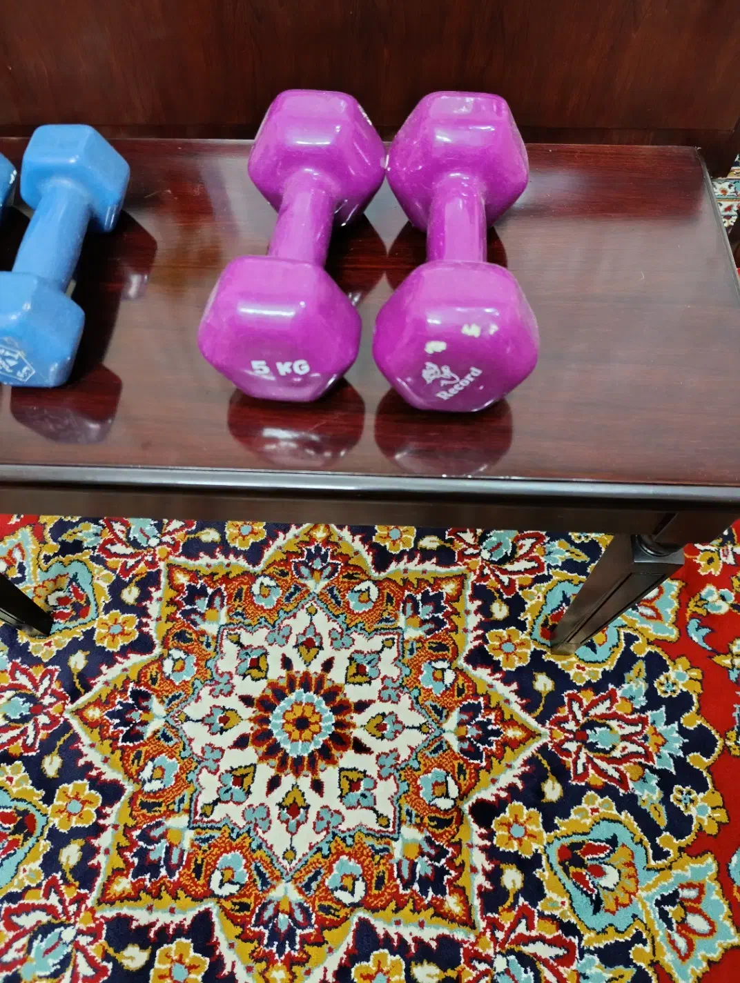 دمبل ۵ کیلویی|تجهیزات ورزشی|مشهد, امام خمینی|دیوار