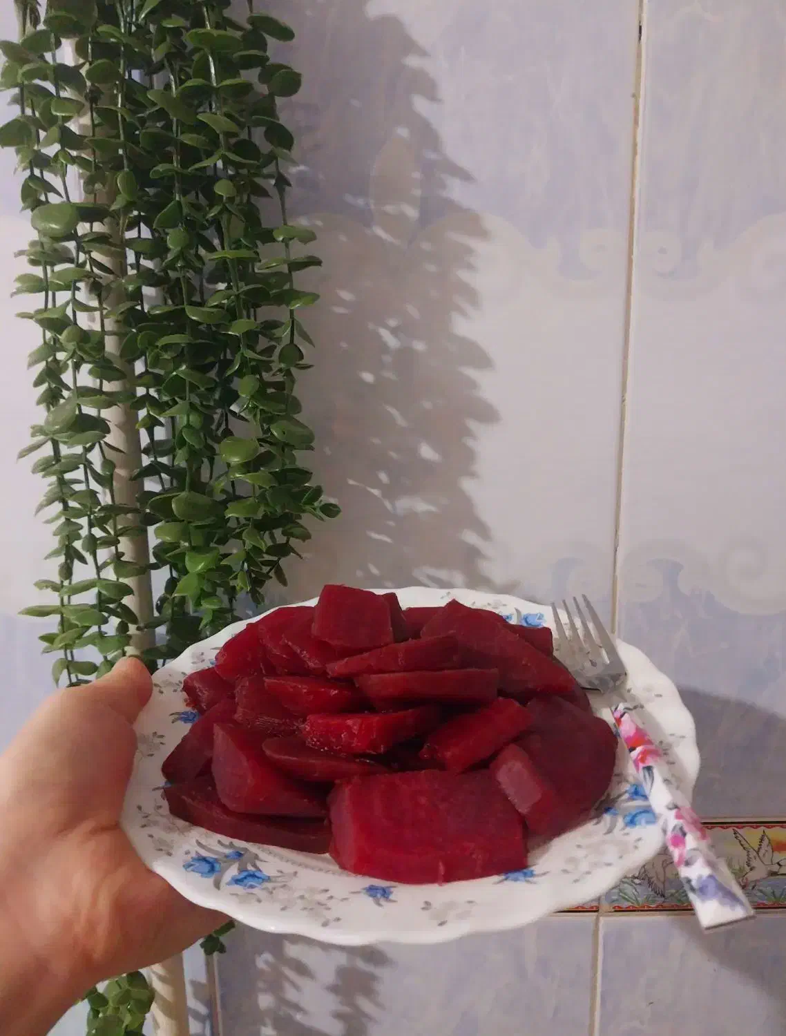 لبو(چغندر)تازه، ارگانیک وشیرین دشتابی|خوردنی و آشامیدنی|دشتابی, |دیوار