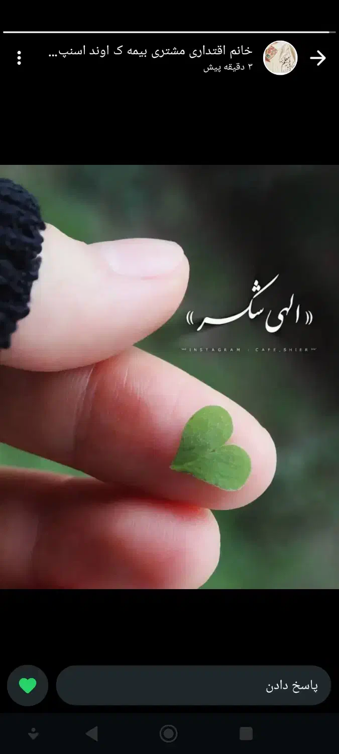 خریدار رتبه اعتباری AوB|خدمات مالی، حسابداری، بیمه|جیرفت, |دیوار