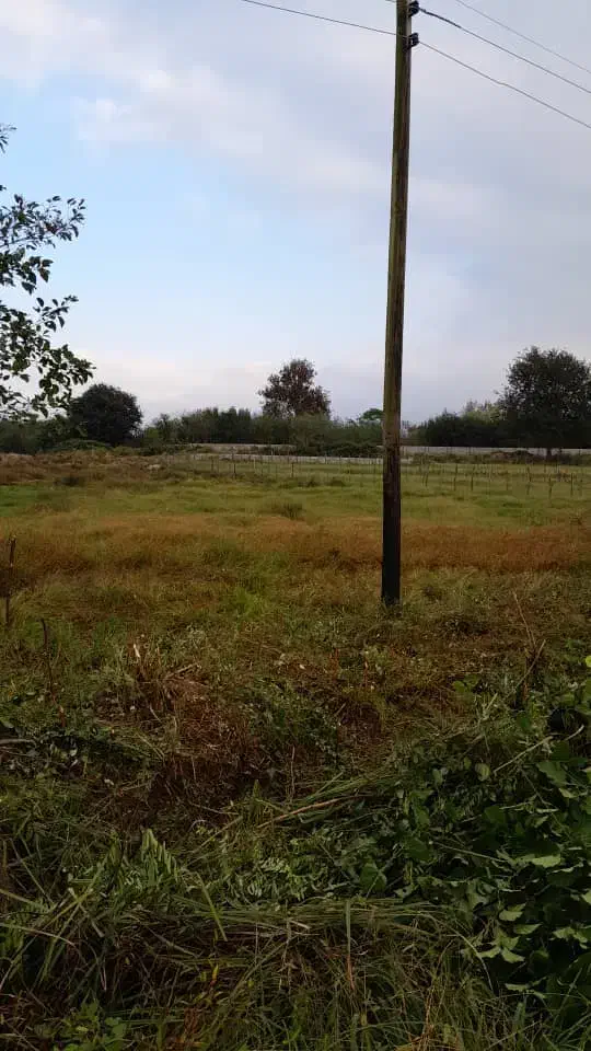 زمین بایر لاهیجان سیاهکل|فروش زمین و ملک کلنگی|سیاهکل, |دیوار