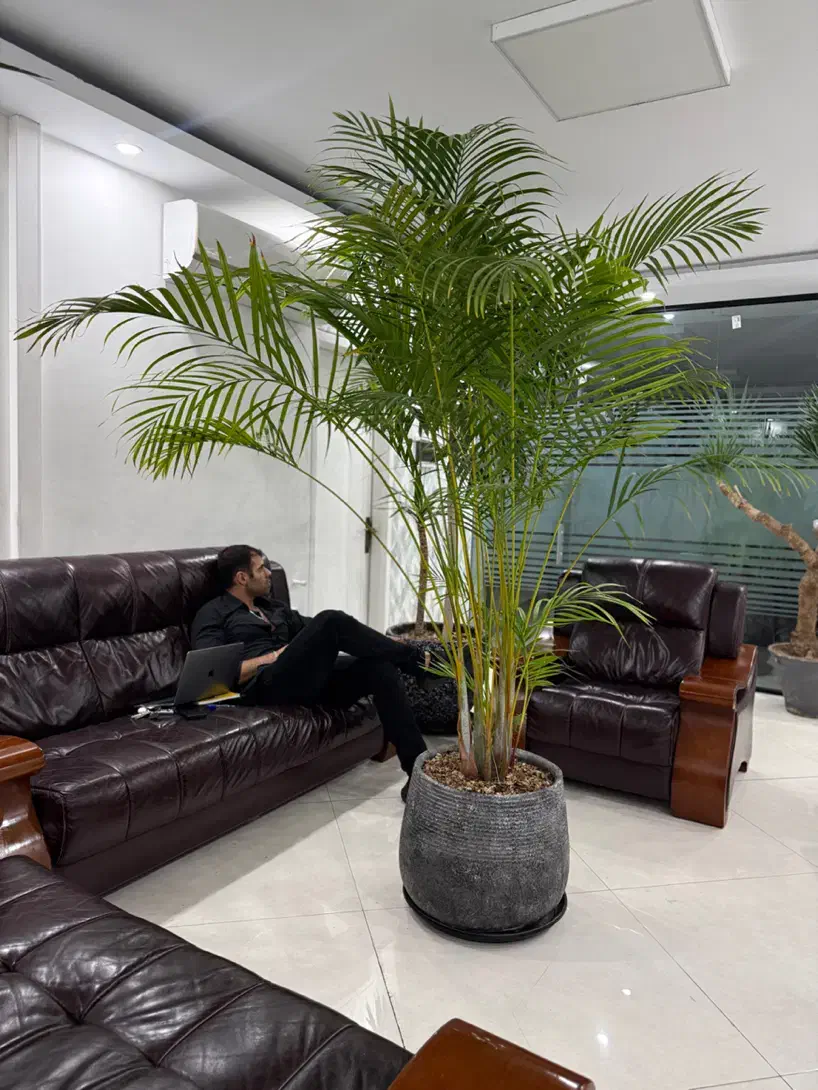 کارگر ساده ایرانی یا اتباع کار راحت سبک|استخدام سرایداری و نظافت|تهران, عباسآباد|دیوار