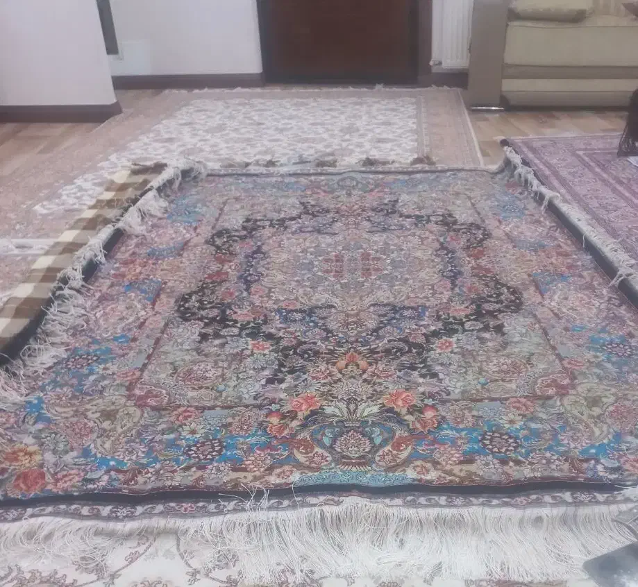 فرش دستباف سالاری|فرش|اردبیل, |دیوار