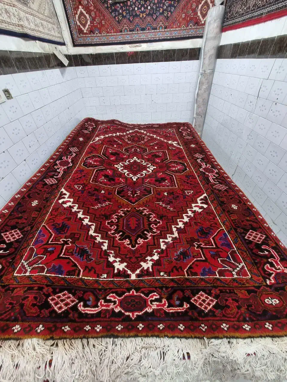 جفت جانقور شش متری|فرش|مراغه, |دیوار