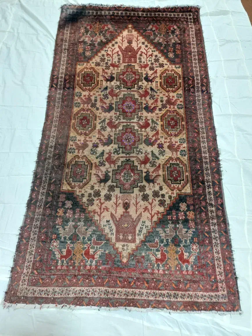 قالی دست باف فرش دست باف جاجیم دست باف|فرش|تهران, بوستان ولایت|دیوار