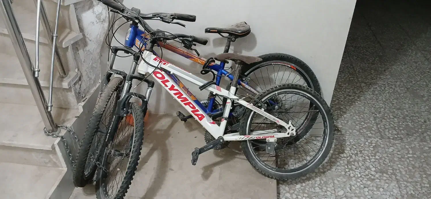 دوچرخه المپیا سفید سایز ۲۴|دوچرخه، اسکیت، اسکوتر|الوند, |دیوار