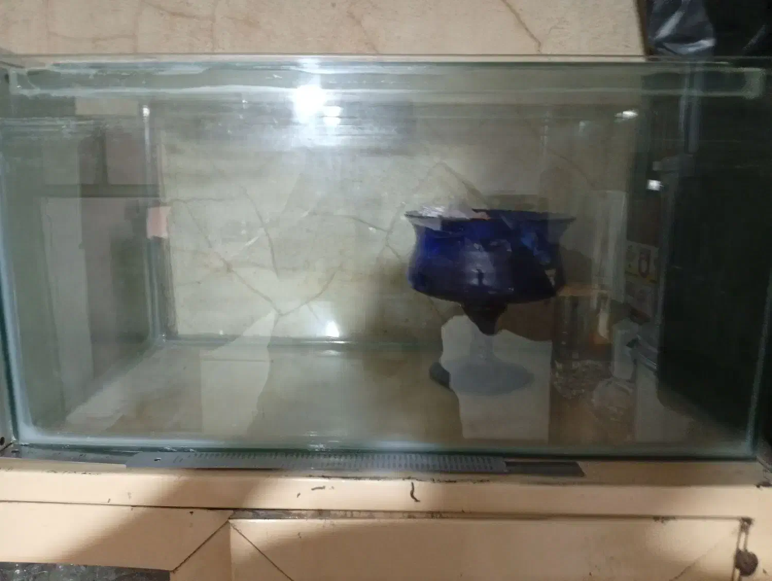 آکواریوم ماهی|ماهی|قرچک, مهدیه|دیوار