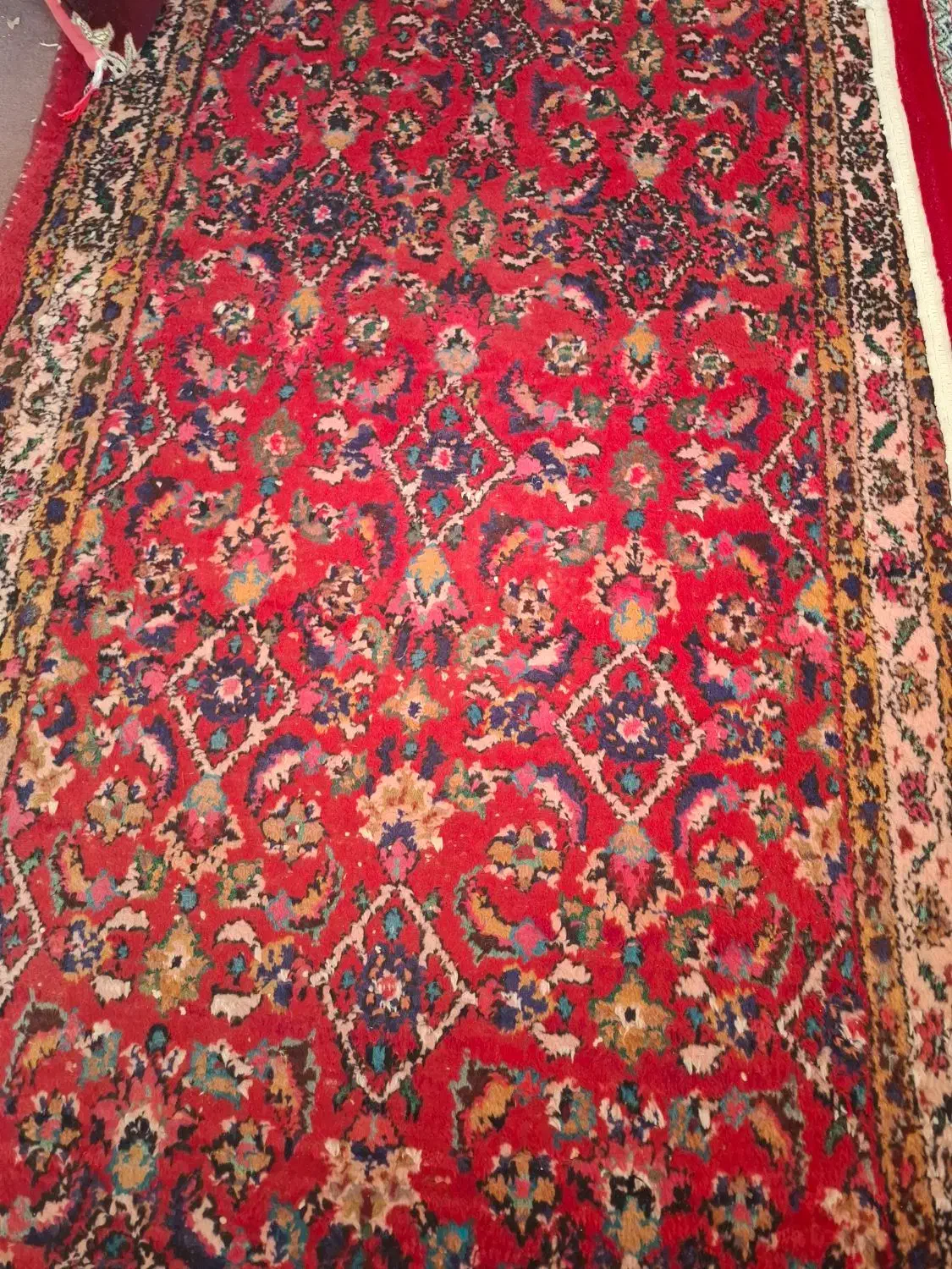 فرش دست بافت شش عدد|فرش|همدان, |دیوار