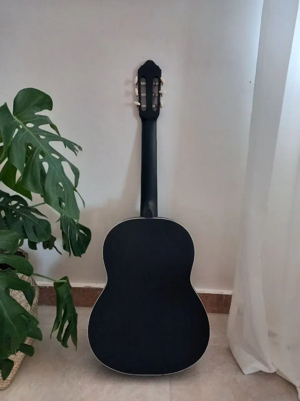 گیتار نو|گیتار، بیس، امپلیفایر|رشت, شالکو|دیوار