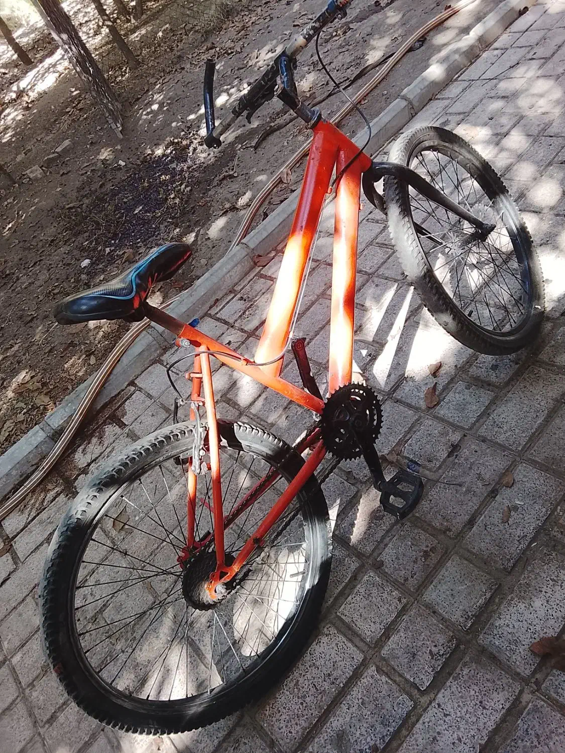 دوچرخه ۲۴|دوچرخه، اسکیت، اسکوتر|بومهن, |دیوار