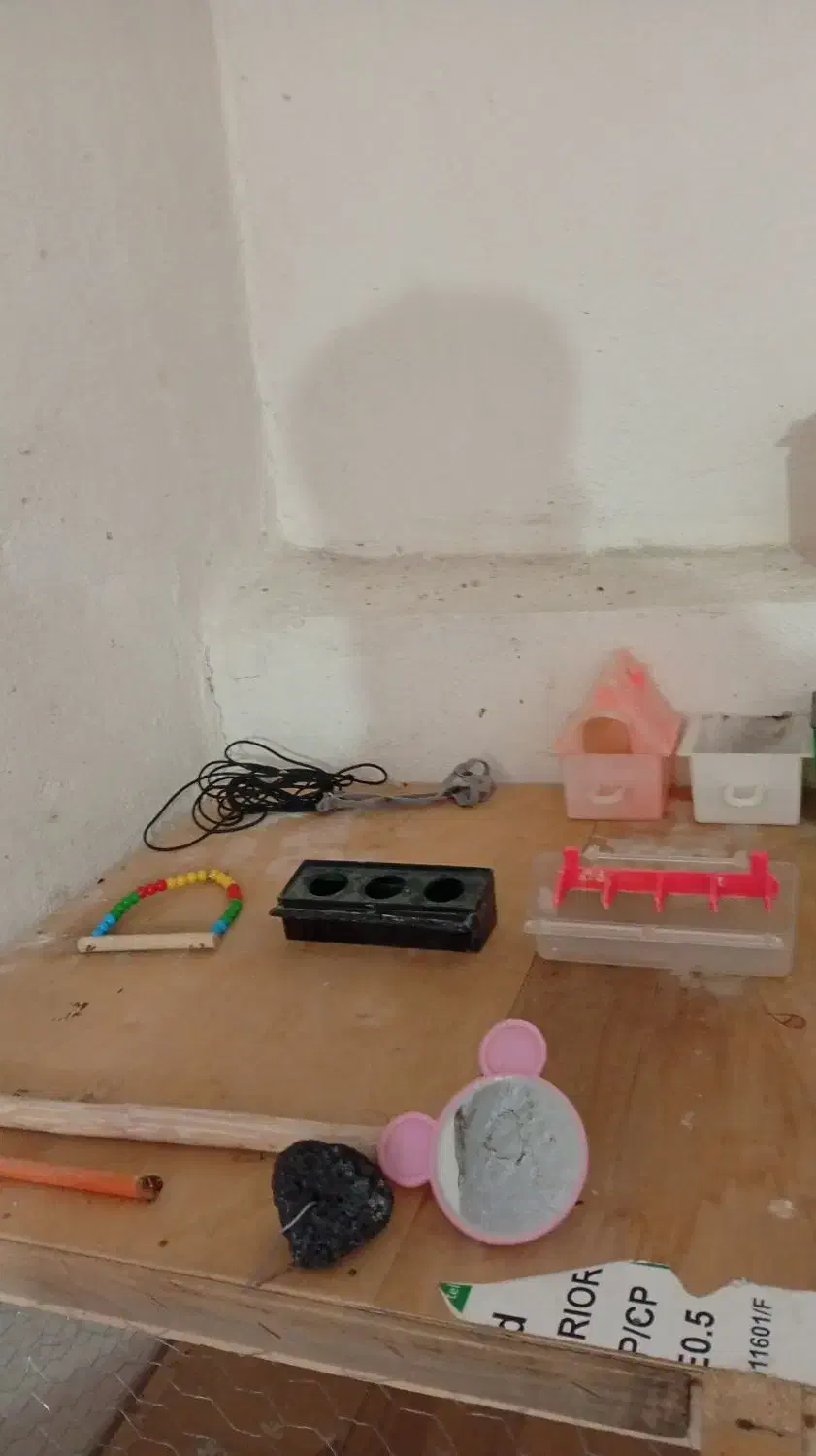 وسایل پرنده .|لوازم جانبی حیوانات|دیواندره, |دیوار