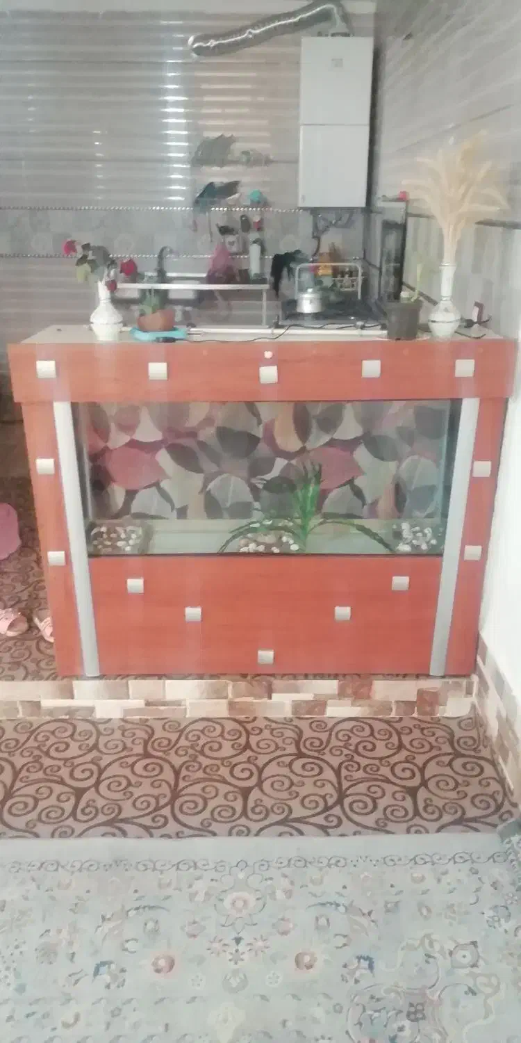 آکواریوم ماهی|ماهی|فیروزآباد (فارس), |دیوار