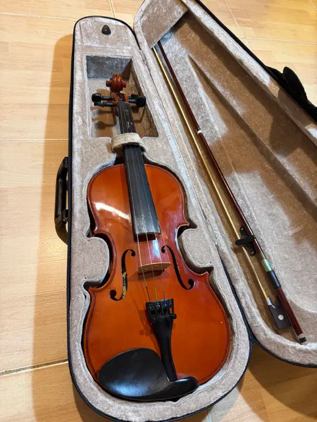 ویالون TF Student سایز ۴/۴ دست دوم در حد نو|ویولن|آستارا, |دیوار