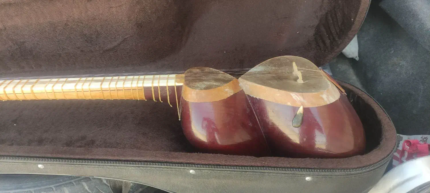 تار دومهر مهیار نوروزی|سازهای سنتی|اصفهان, ناصرخسرو|دیوار