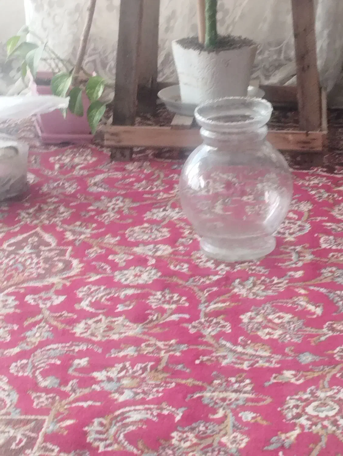 تنگ ماهی|ماهی|مشهد, فاطمیه|دیوار