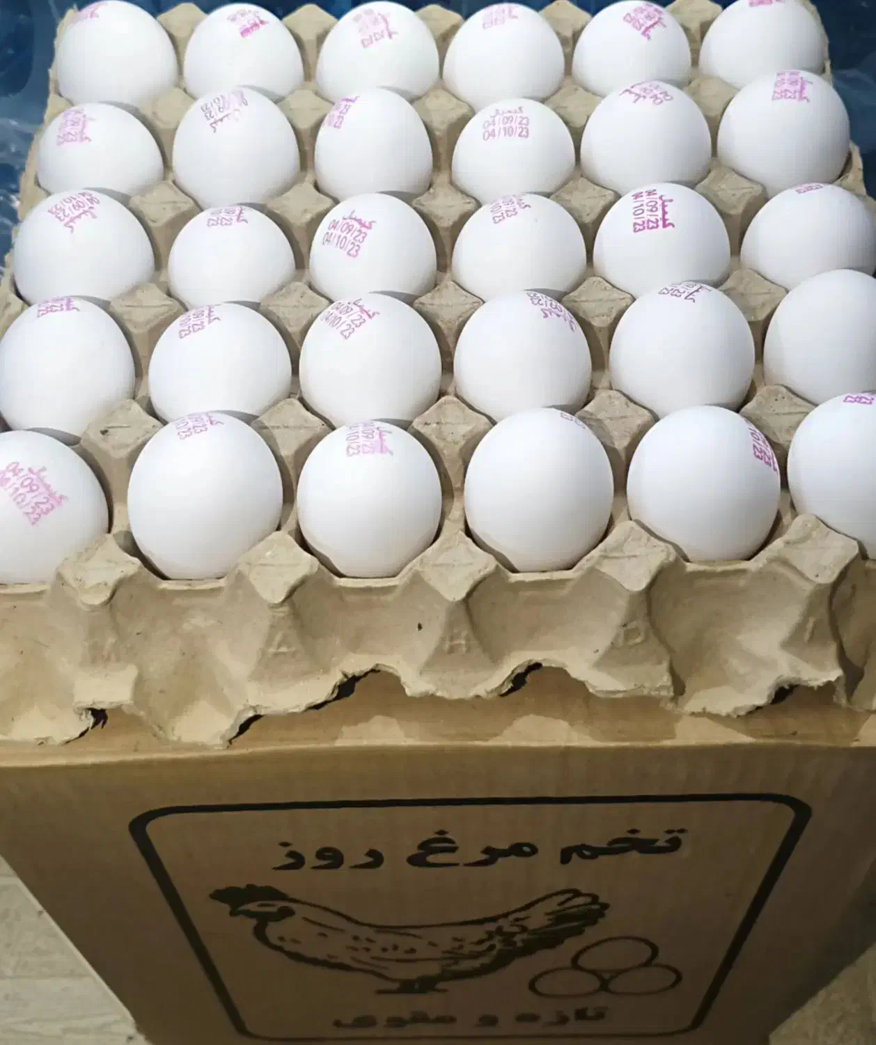 پخش مویرگی و عمده تخممرغ تازه و با کیفیت|خوردنی و آشامیدنی|تهران, مشیریه|دیوار