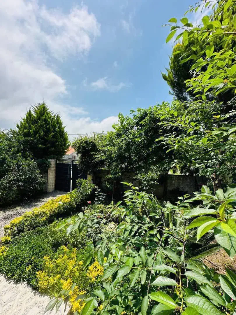 ویلاباغ ۳۵۰متری/۱۶۰متربنا ۳خوابه/درخت میوه|فروش خانه و ویلا|رامسر, |دیوار