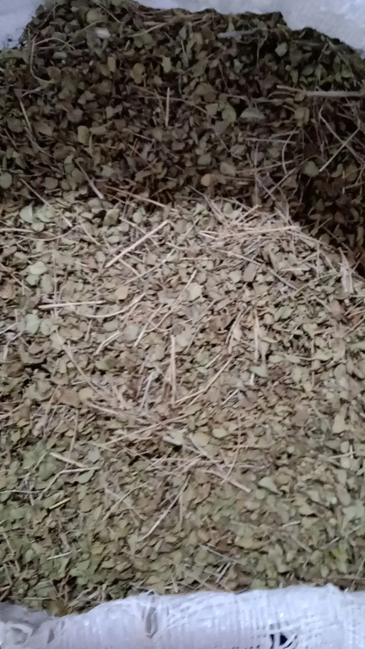 آویشن|خوردنی و آشامیدنی|میناب, |دیوار
