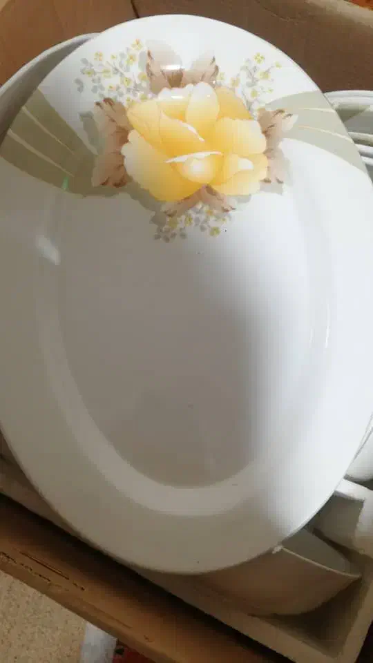 تعدادی ظروف چینی و میلامین|ظروف سرو و پذیرایی|شیراز, فرگاز|دیوار