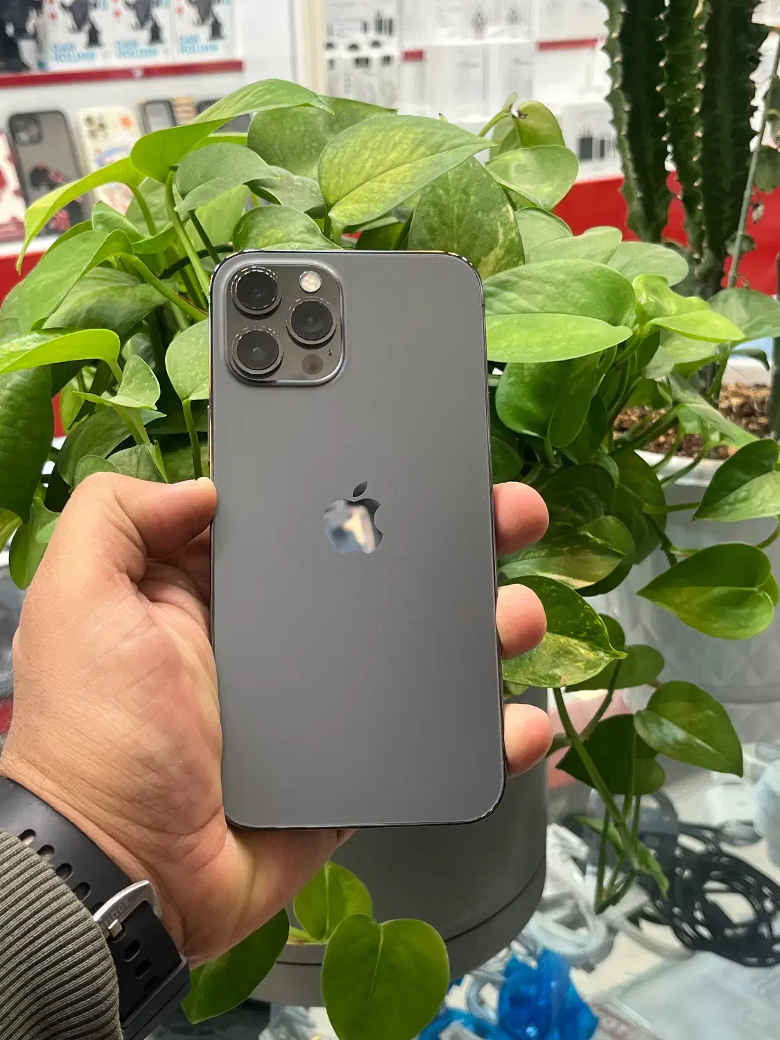 12promax|موبایل|شیراز, گود عربان|دیوار