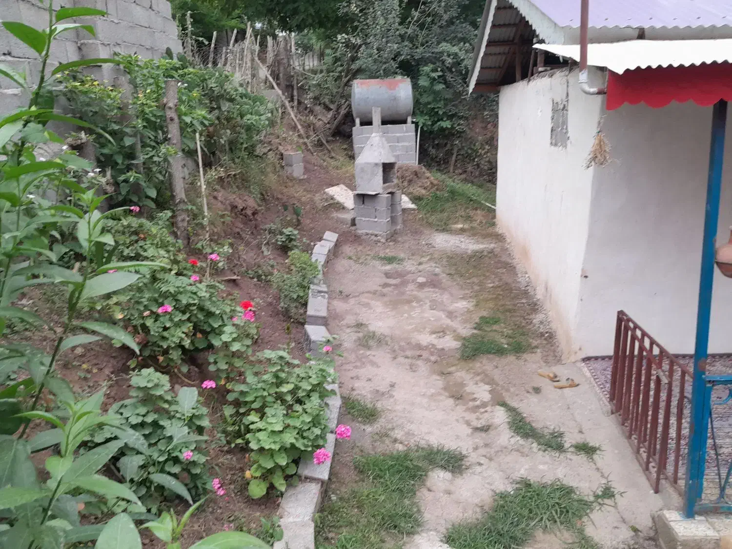 اجاره روزانه و ماهیانه ویلا در روستای حلیمه جان|اجارهٔ کوتاه‌مدت ویلا و باغ|توتکابن, |دیوار
