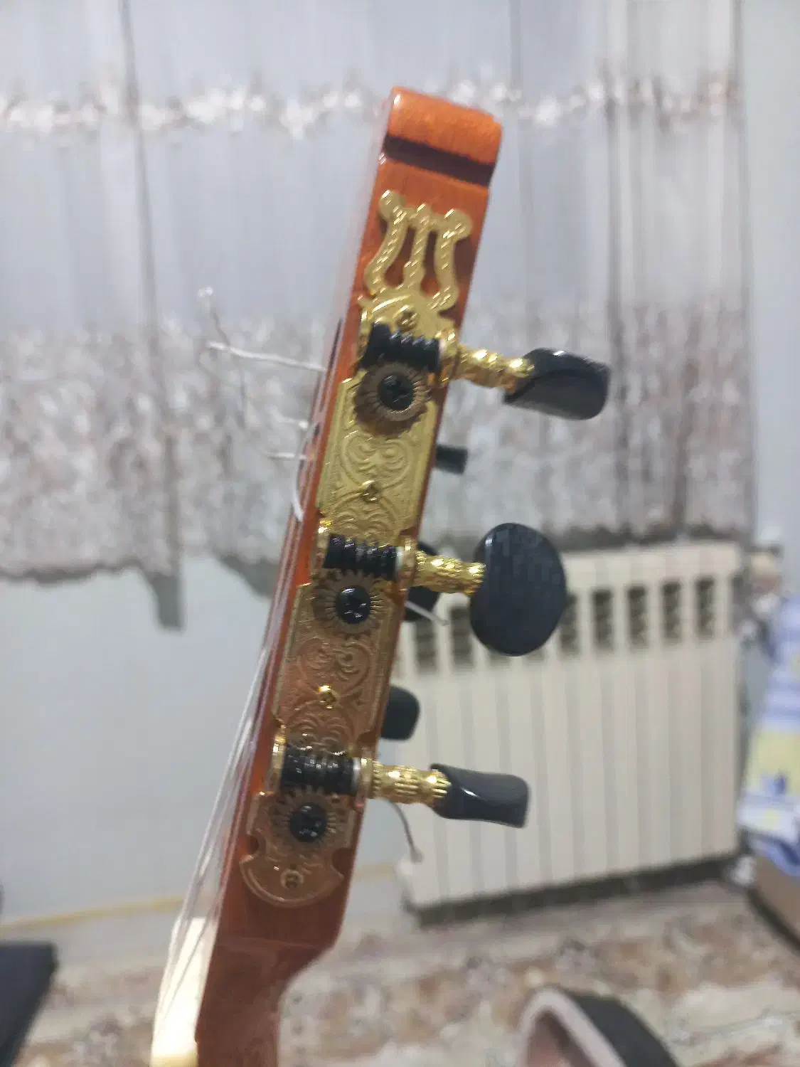 گیتارپالادوcg80|گیتار، بیس، امپلیفایر|پردیس, فاز ۴|دیوار