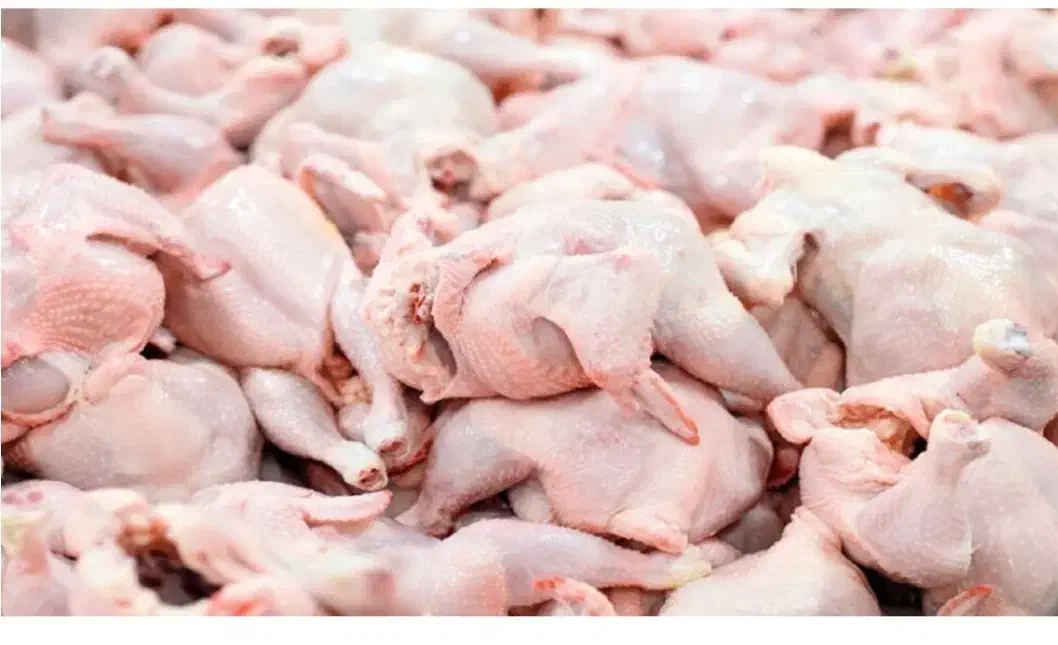 کارگر نیمه وقت و تمام وقت|استخدام خدمات فروشگاه و رستوران|تهران, خلیج فارس|دیوار