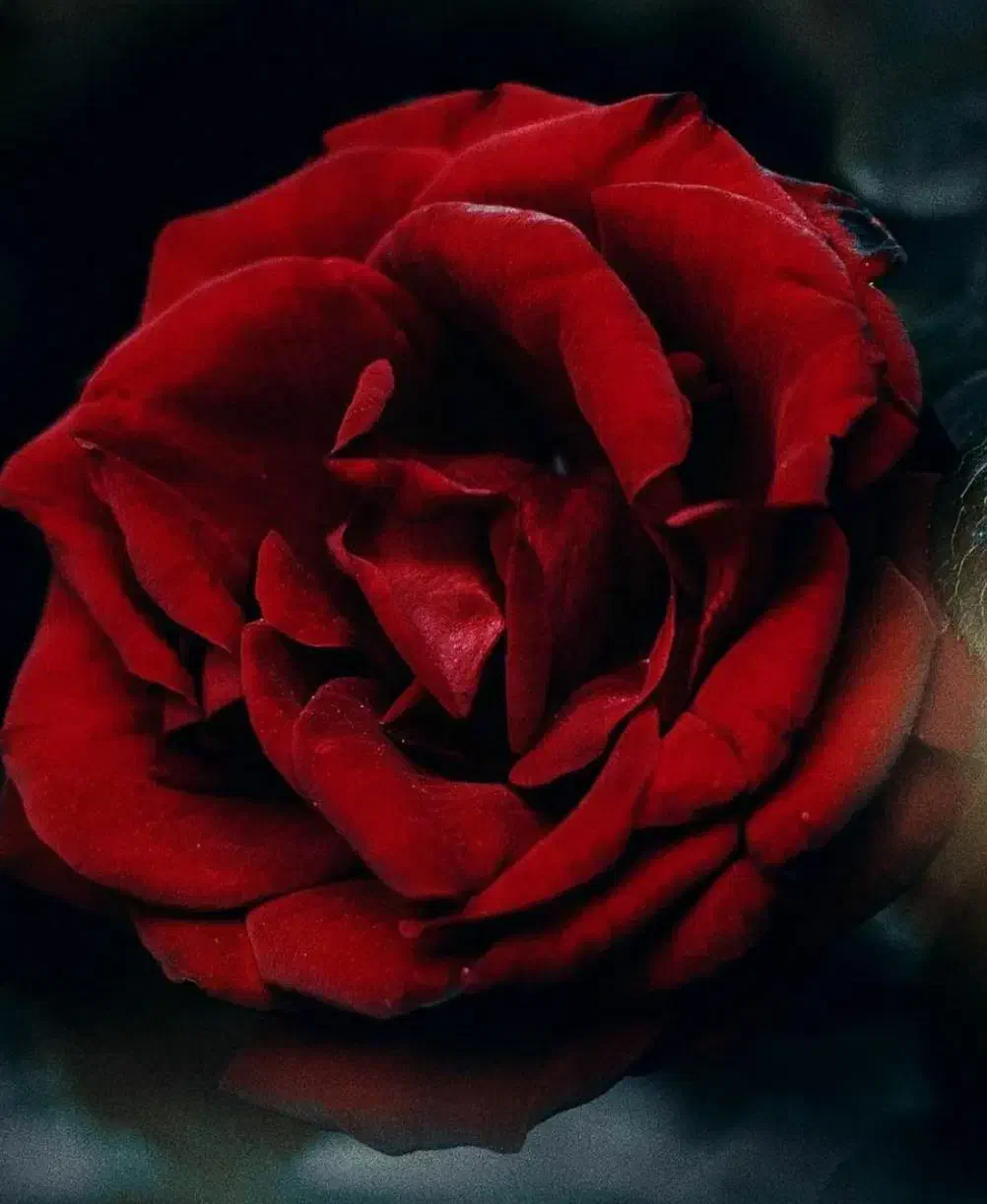 تدریس کلیه دروس ابتدایی|خدمات آموزشی|اراک, |دیوار