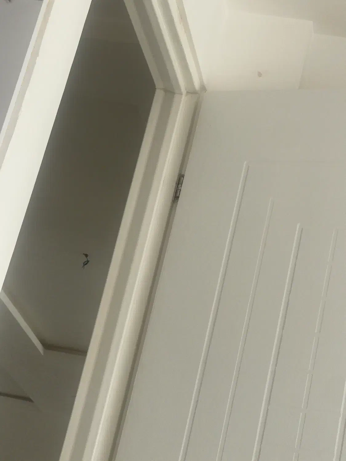 مغازه ۴۰ متری|اجارهٔ مغازه و غرفه|ایوان, |دیوار