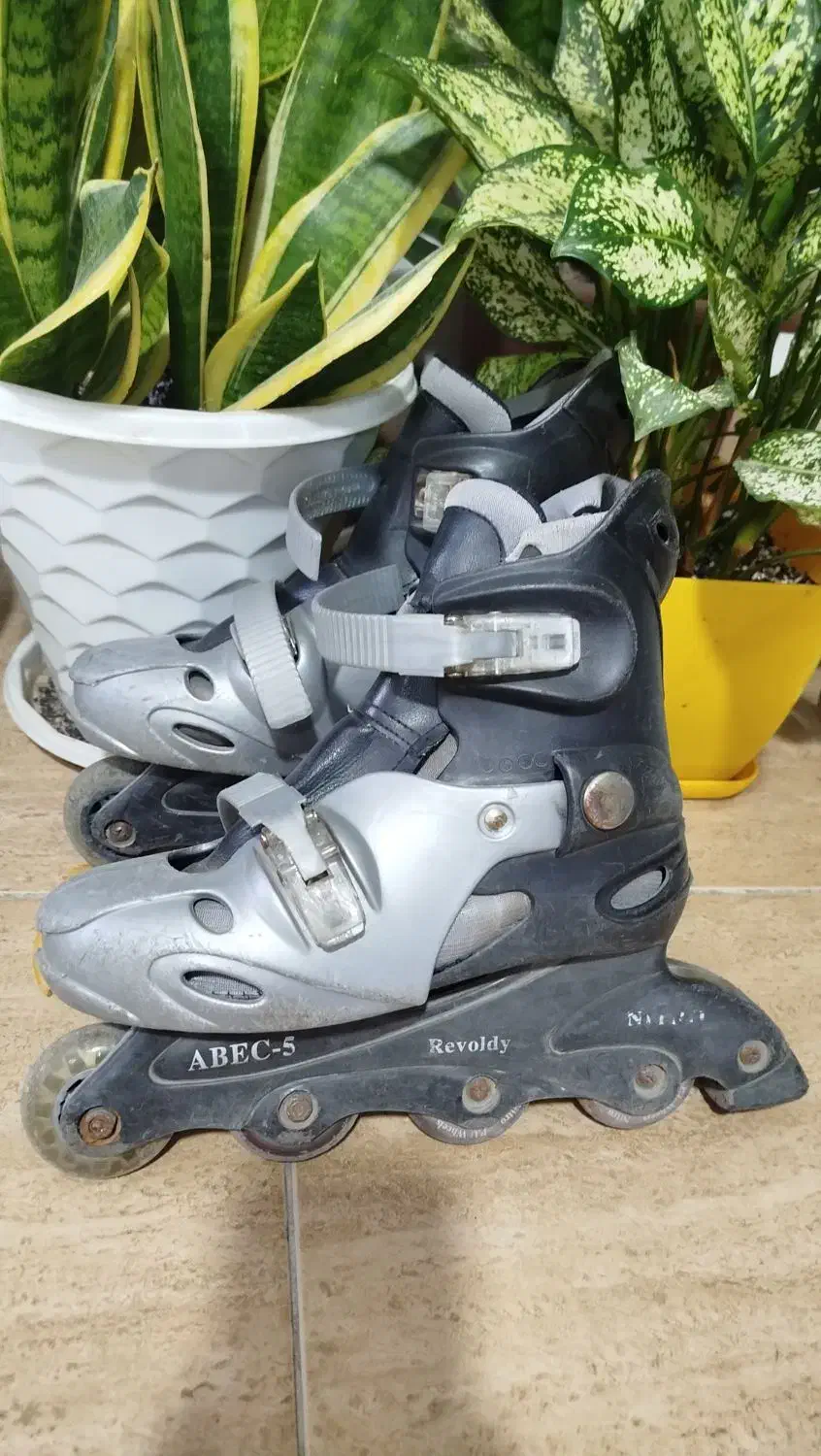 اسکیت تا سایز ۳۹|دوچرخه، اسکیت، اسکوتر|ساری, |دیوار