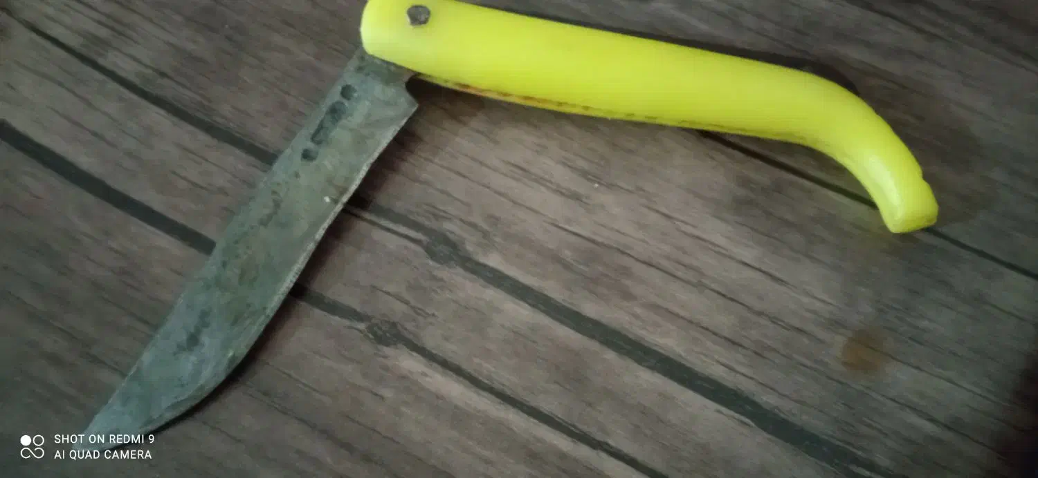 چاقو کپوری و اره ای|کلکسیون اشیاء عتیقه|شهرکرد, |دیوار