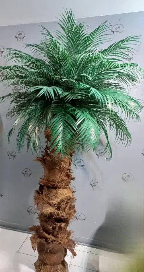 درخت نخل مصنوعی|گل مصنوعی|تهران, مولوی|دیوار