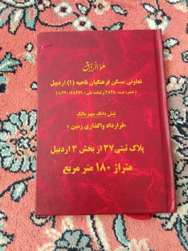 اردبیل|کیف، کفش، کمربند|اردبیل, |دیوار