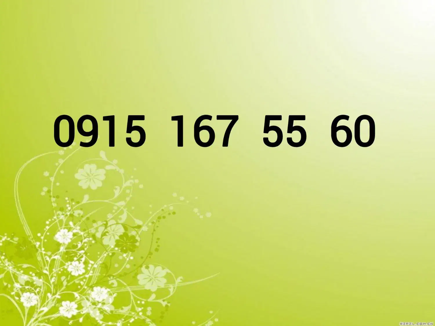 0915-167-55-60|سیم‌کارت|مشهد, دانشجو|دیوار