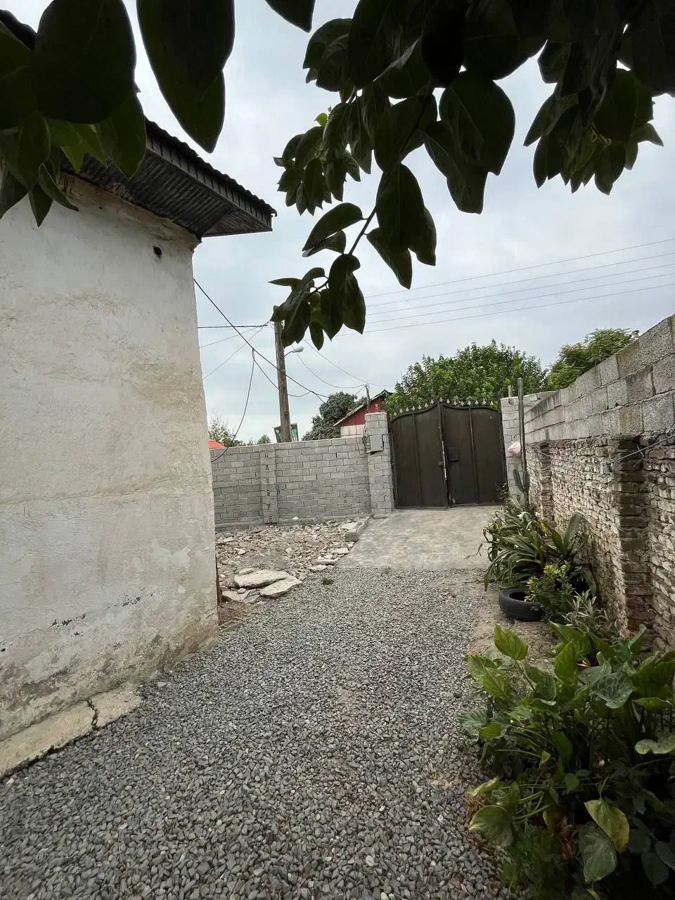 خانه کلنگی میباشد|فروش خانه و ویلا|دابودشت, |دیوار