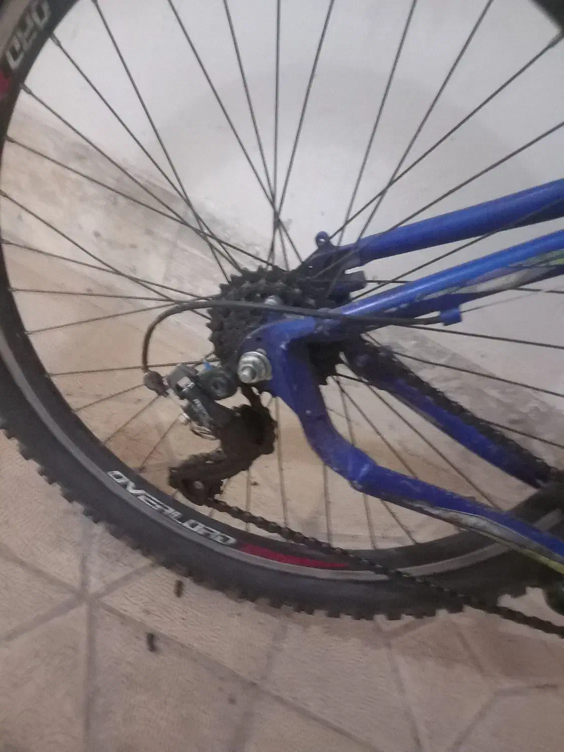 دوچرخه اورلورد|دوچرخه، اسکیت، اسکوتر|تالش, هشتپر|دیوار