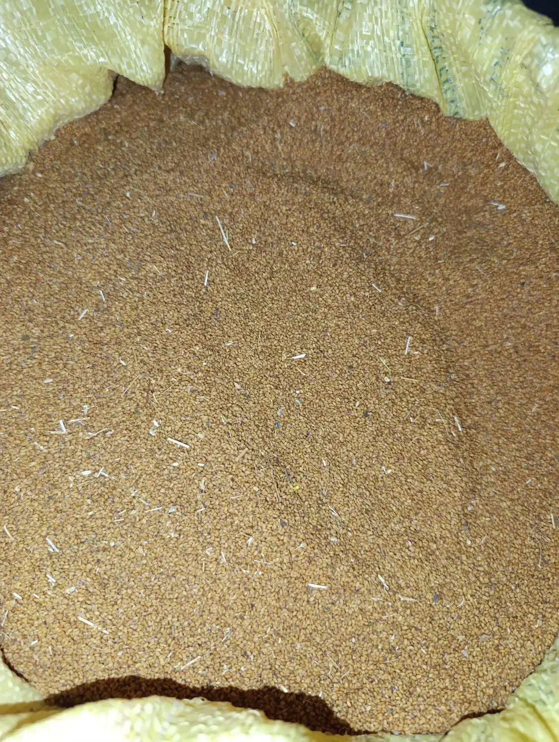 بذر کاملینا|گل و گیاه طبیعی|کلاله, |دیوار